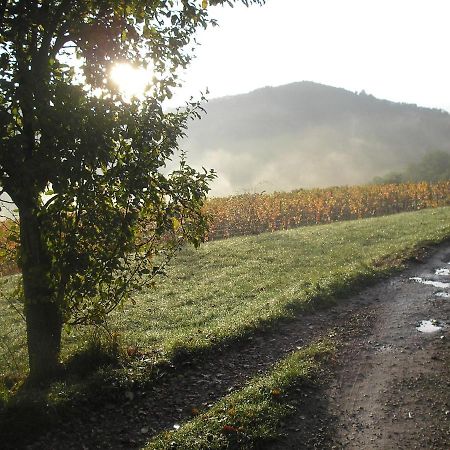 Grange Renovee En Pleine Nature Valady Exterior photo